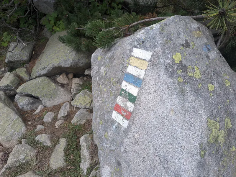 Three trails in their shared section — each marked with a distinct color.
