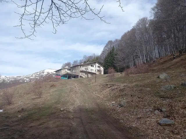 Svishti Plaz Hut