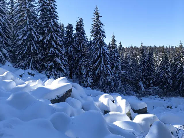 Vitosha