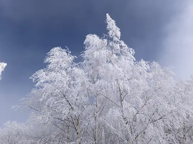 Vitosha