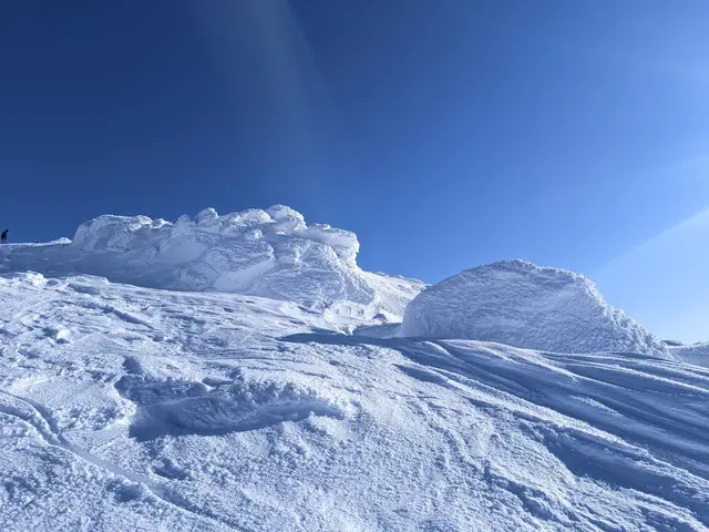 Vitosha