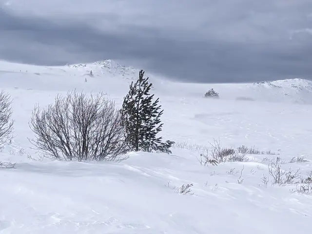 Vitosha