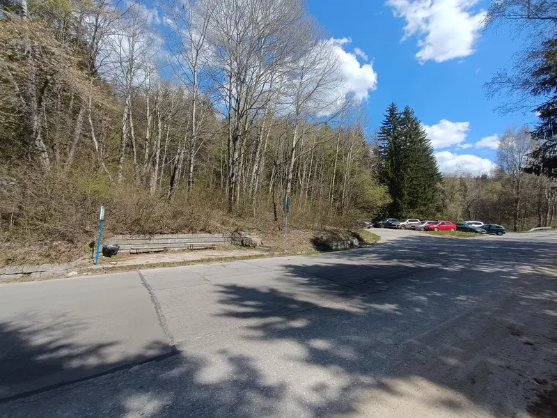 Dendrariuma Bus Stop