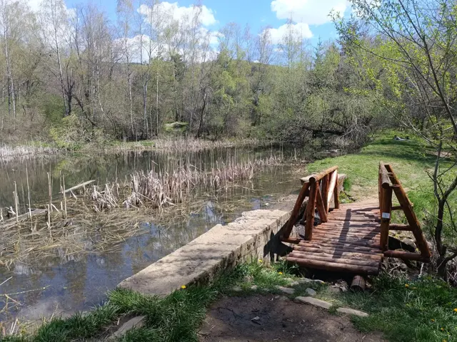 Dendrariuma Area