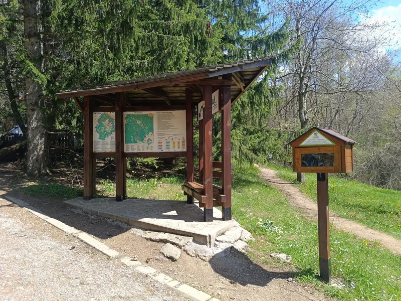 Dendrariuma Area