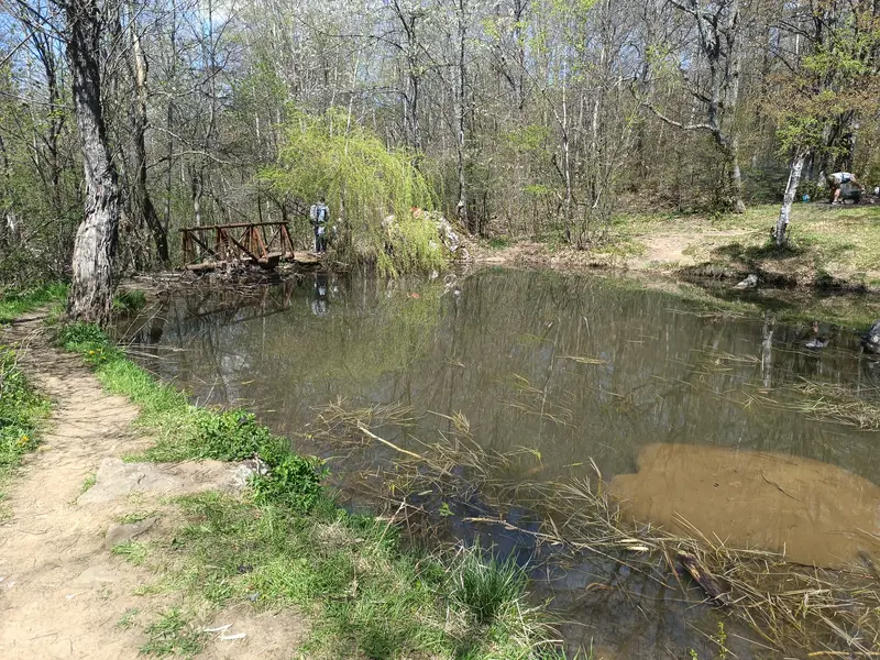 Dendrariuma Area