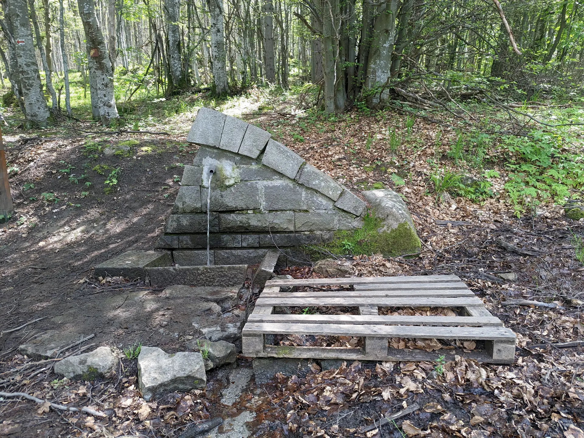 The Fountain in the Bukara Area