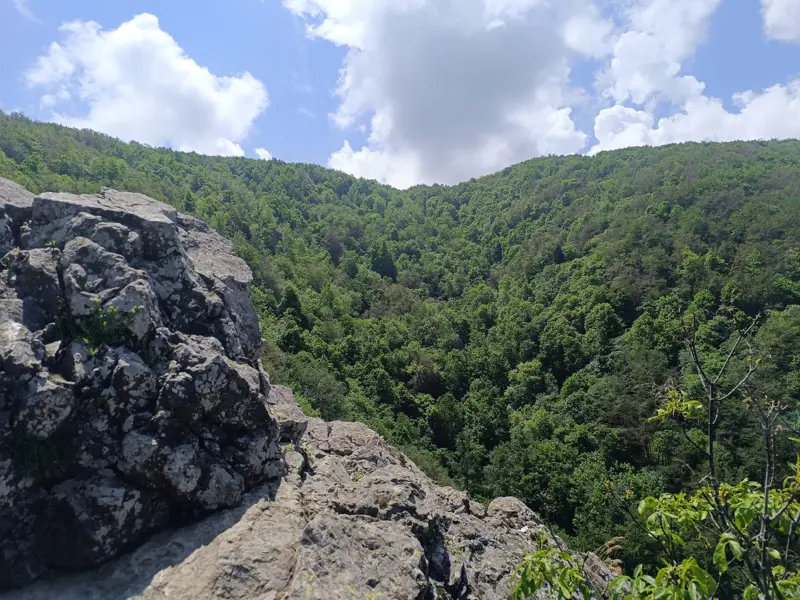 View of the Boyana River Valley and Sofia