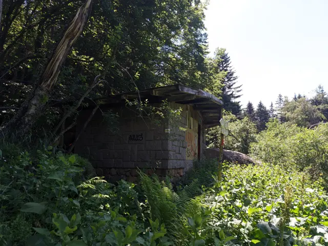 Gyoreva Cheshma Shelter