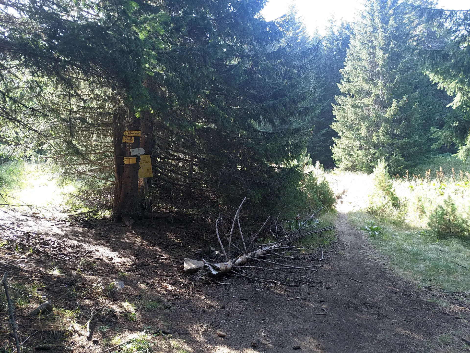 Junction - Lake Babreka, Rilski Ezera Hut, Skakavitsa Hut