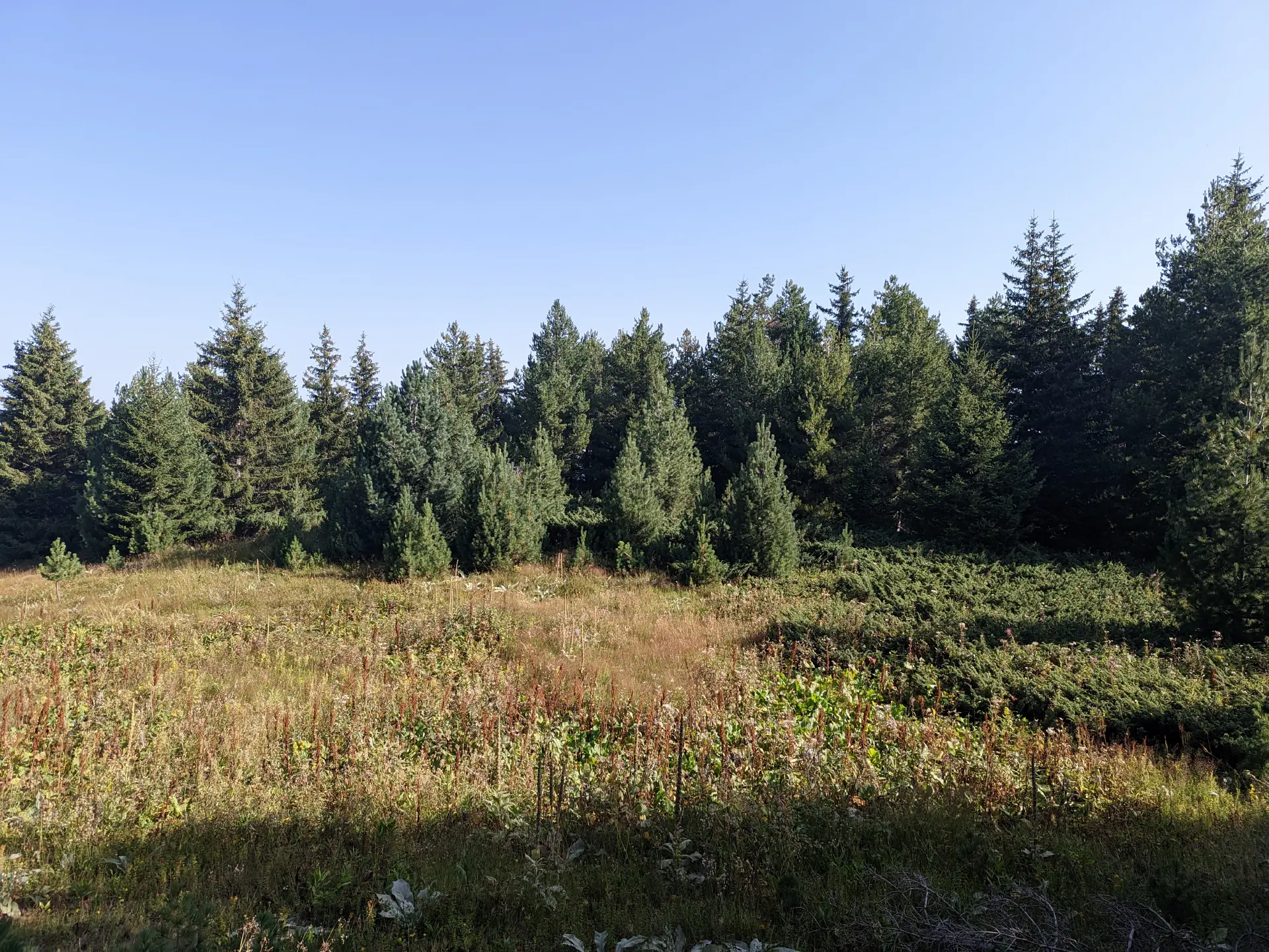 Junction between the blue and green markings from H. Skakavitsa to H. Rilski Lakes