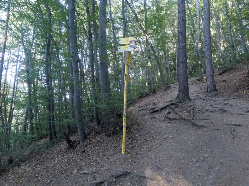 Junction between the steep and the more gentle path to Boyana Waterfall