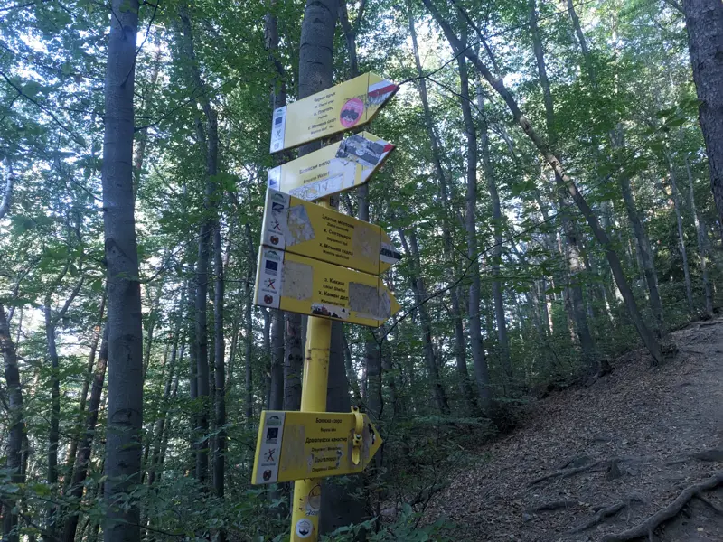 Junction between the steep and the more gentle path to Boyana Waterfall