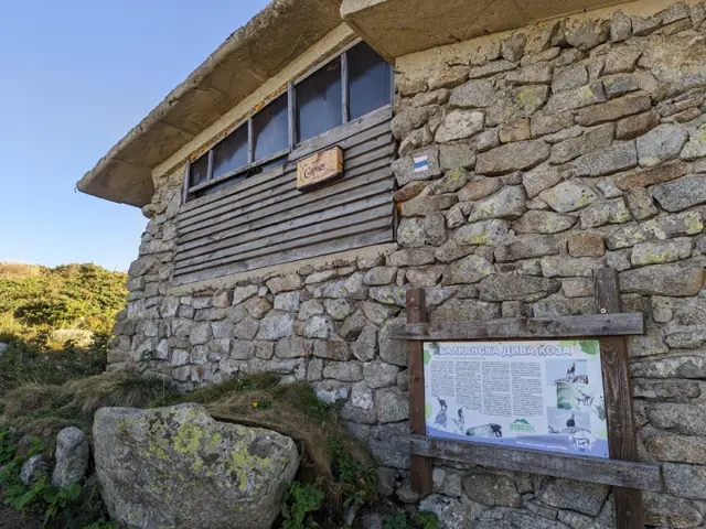 Samara Shelter