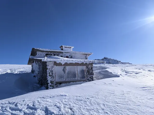 Samara Shelter