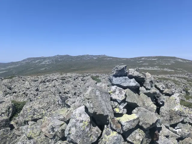 Kupena