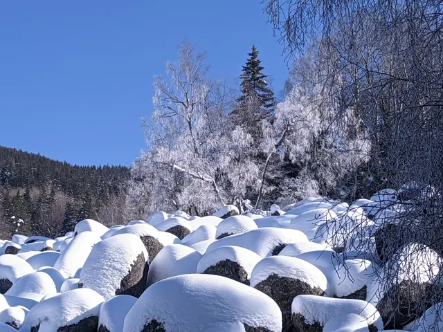 Zlatnite Mostove