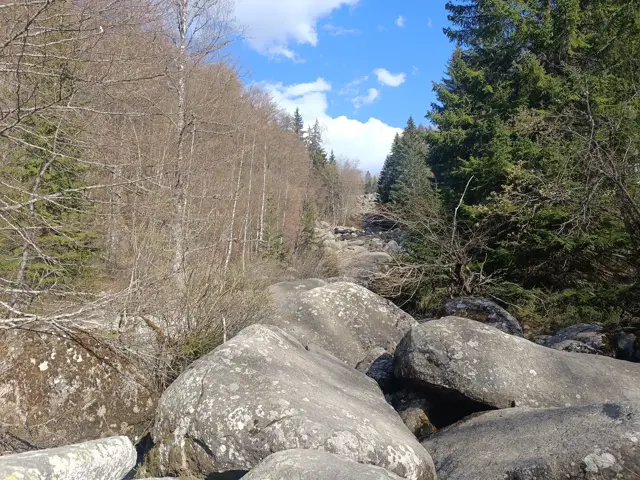 Zlatnite Mostove
