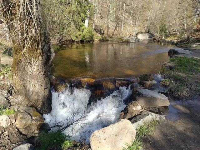 Zlatnite Mostove