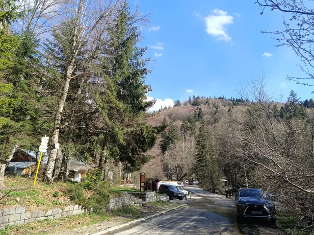 Zlatnite Mostove