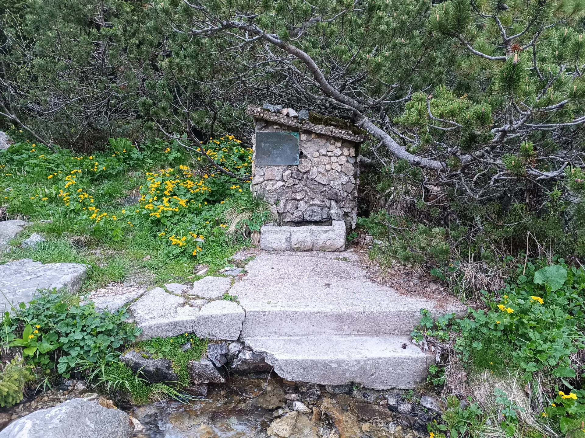 The fountain of Petar Todorov (Butch)