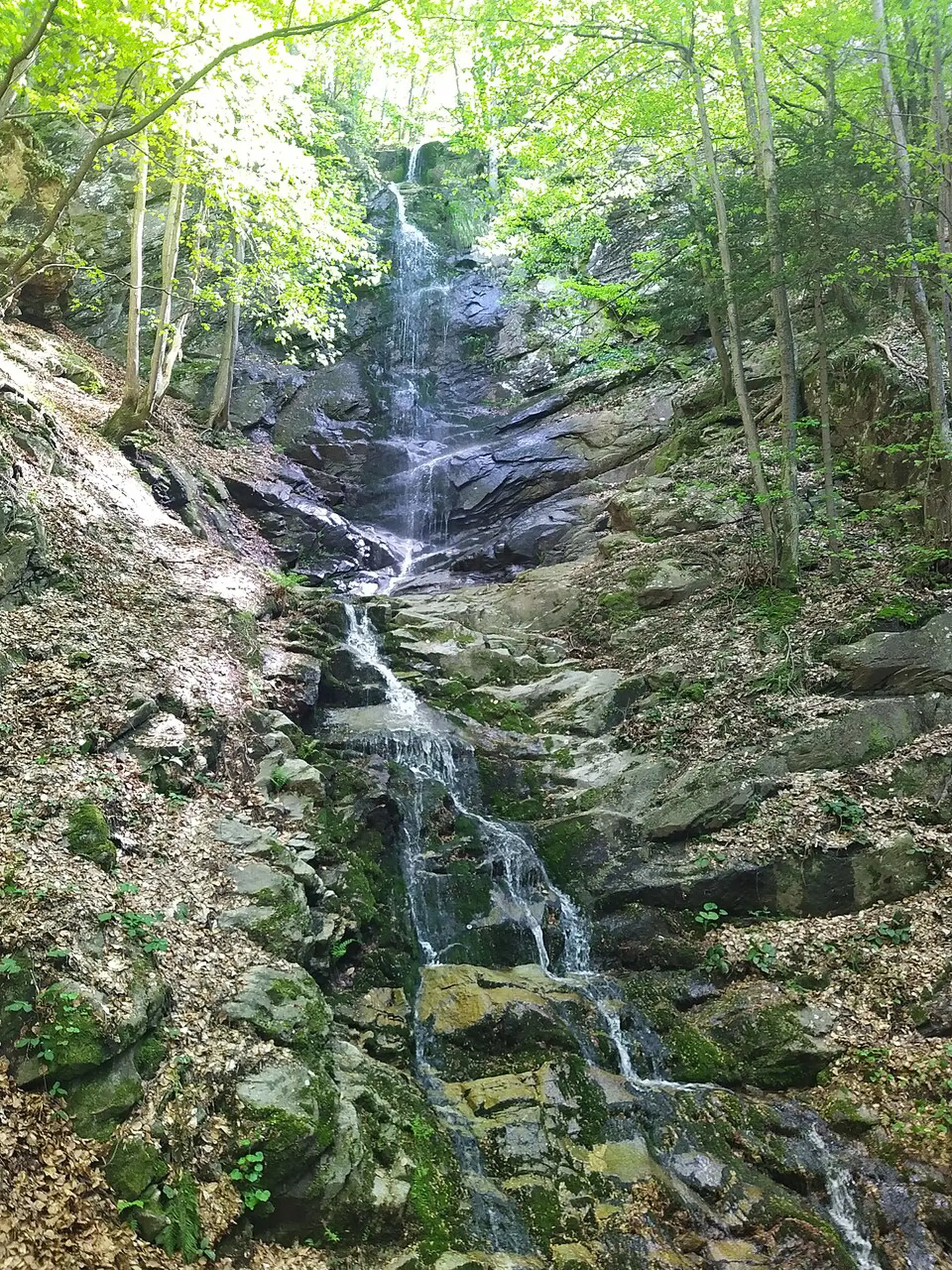 Skalovitets Waterfall