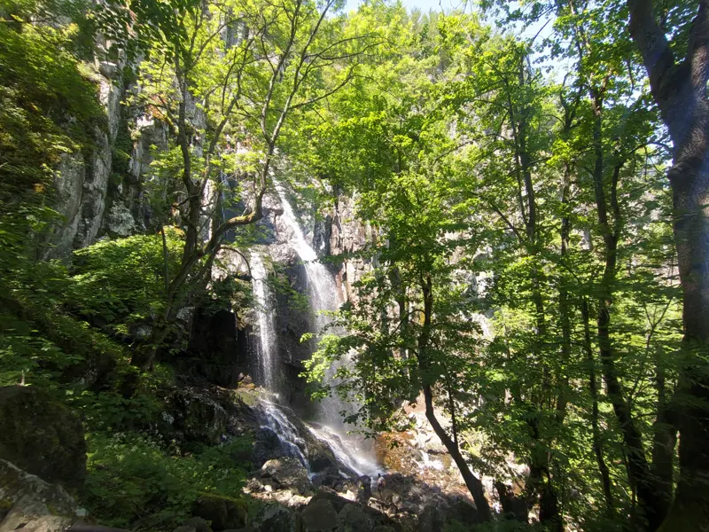 Boyana Waterfall
