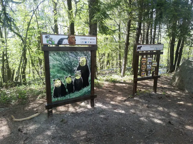 Bear Museum