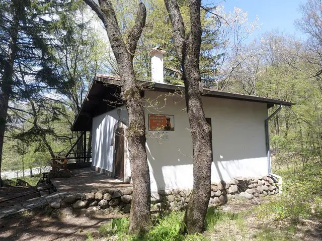 Bear Museum