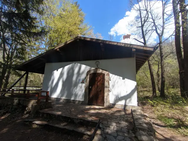Bear Museum