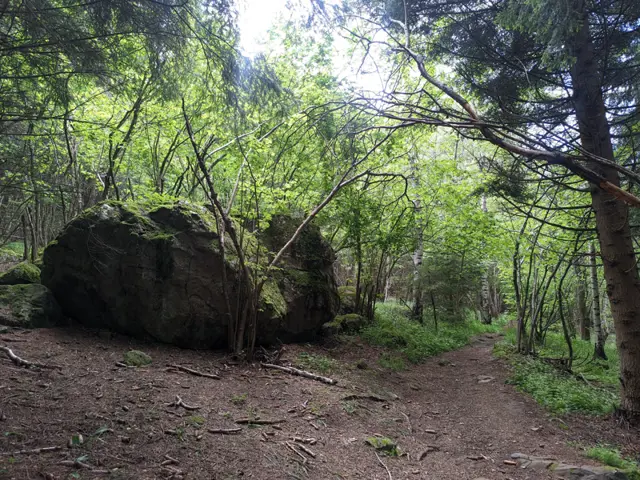 Momina skala Hut - Bay Krastyo Shelter