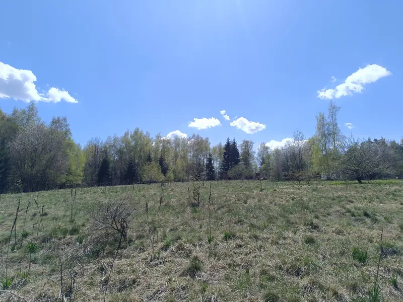 Dendrariuma Bus Stop - Iglikina Meadow