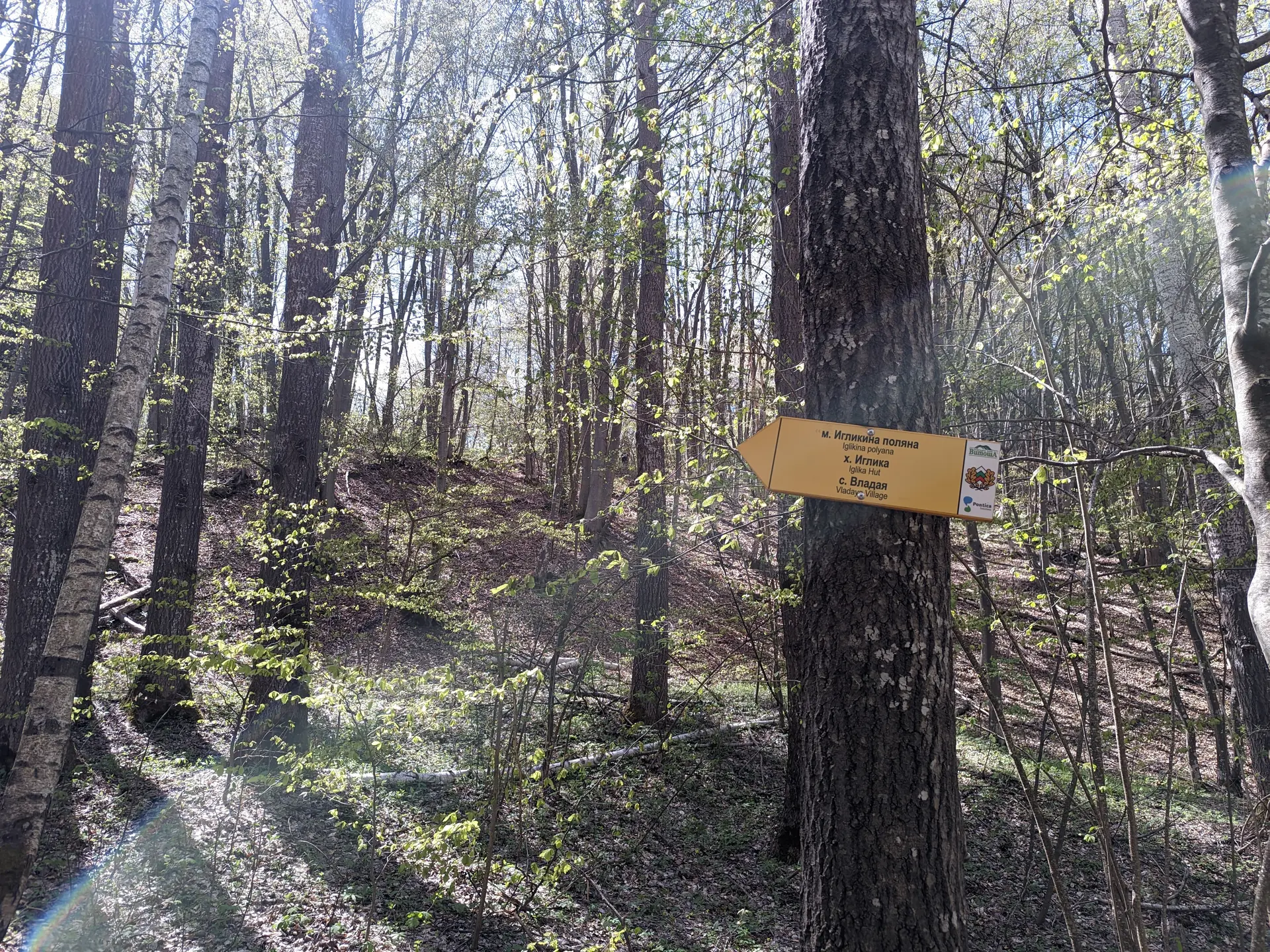 Dendrariuma Bus Stop - Iglikina Meadow