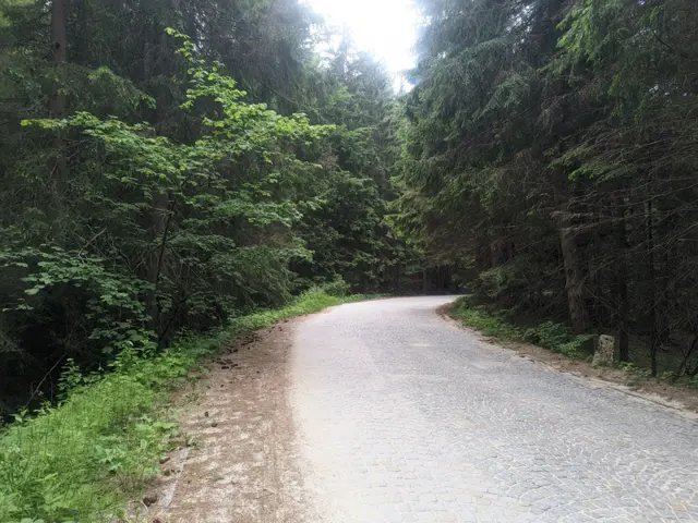 Zlatnite Mostove – Kompozitorite Hut