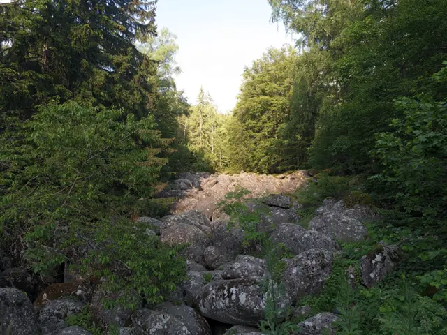 Kompositorite Hut – Zlatnite Mostove (skirting the BNR Hut)