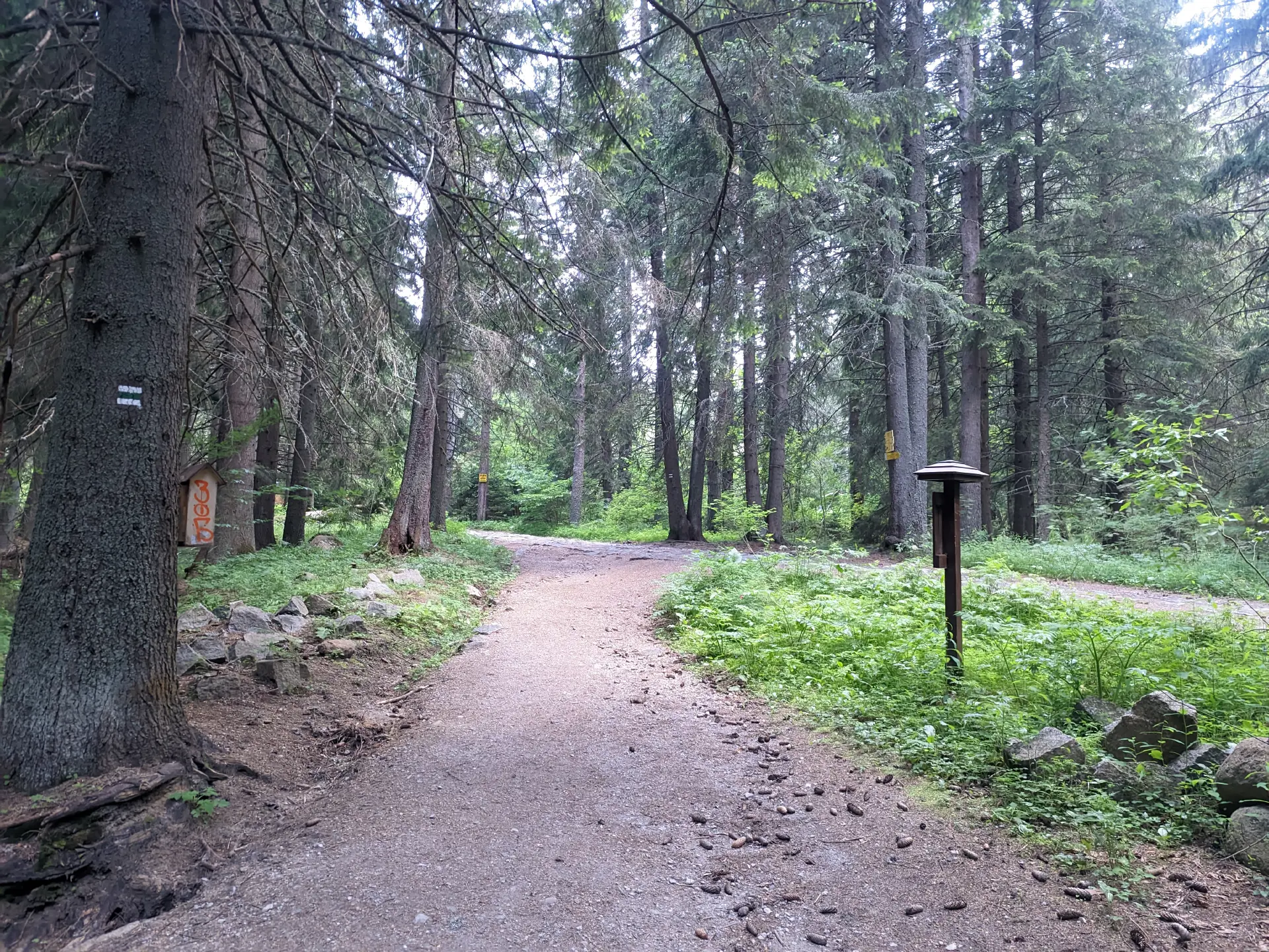 Kompositorite Hut – Zlatnite Mostove (skirting the BNR Hut)