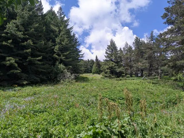 Aleko Hut - Kamen Del Peak - Zlatnite Mostove