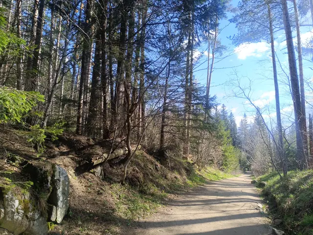 Momina Skala Hut -> Septemvri Hut