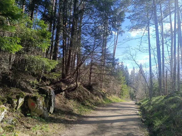 Momina Skala Hut -> Septemvri Hut