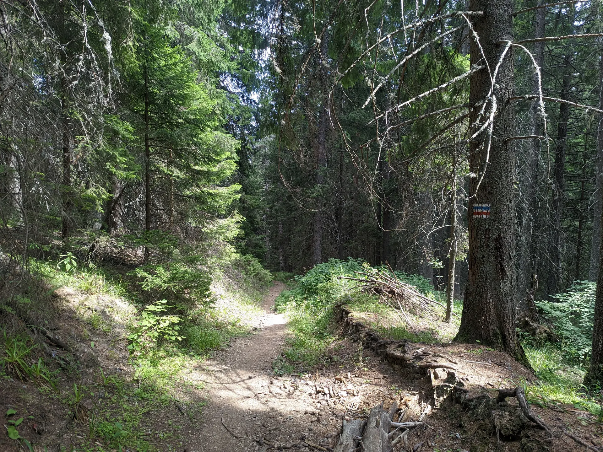 Lovna Hut – Vada Hut