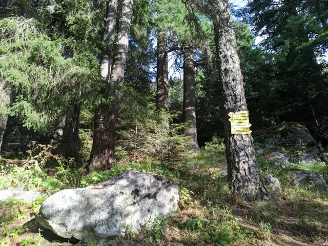 Visitor and Tourist Information Center of National Park "Rila" – Panichishte – Skakavitsa Hut