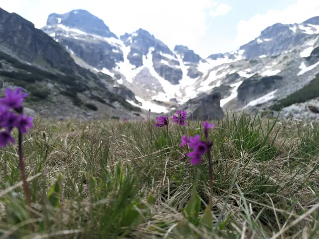 Malyovitsa Hut – Malyovitsa peak